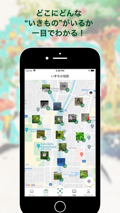 Biome（バイオーム‪）-いきものAI図鑑 Screenshot