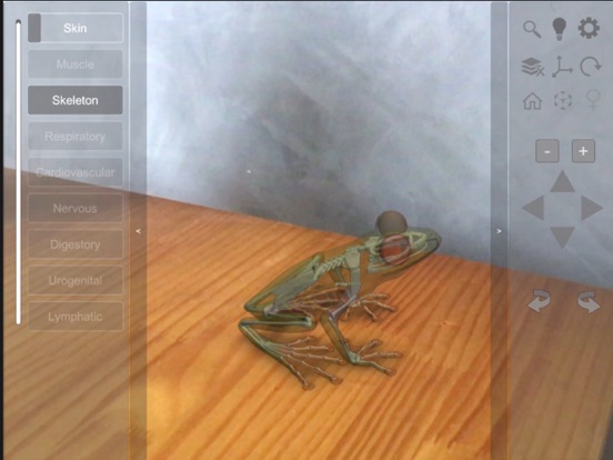 3D Frog Skeletonのおすすめ画像6