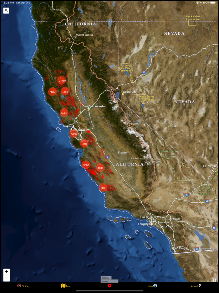 California WC Mushroom Forager