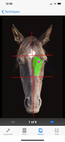 Game screenshot Equine Techniques mod apk
