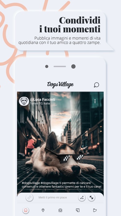 Dogs Village Screenshot