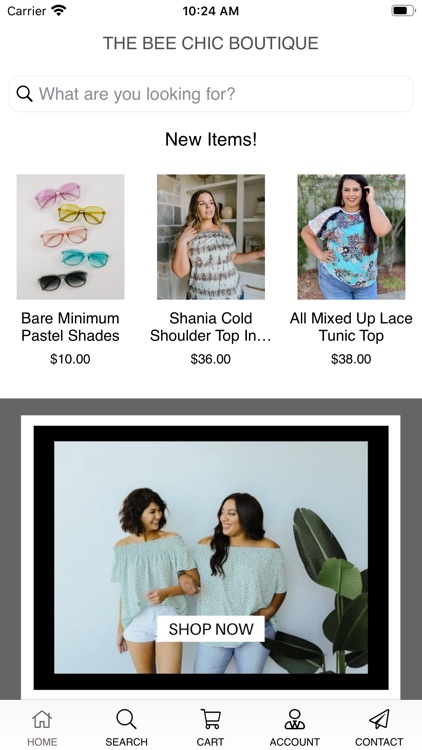 The Bee Chic Boutique