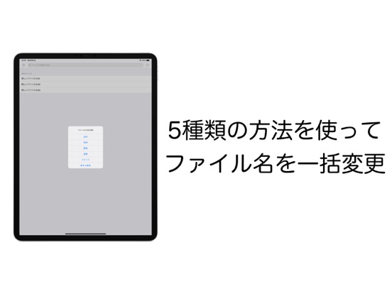 Screenshot #4 pour Renamer - ファイル名を一括変更