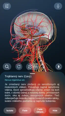 Game screenshot High School Anatomy 21 hack