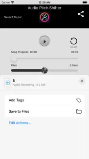 audio pitch shifter iphone screenshot 3