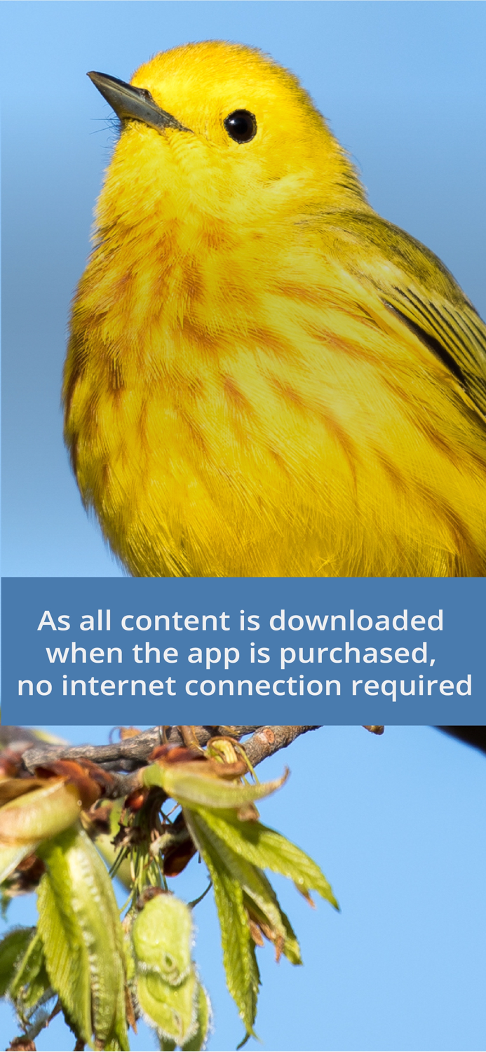 Bird Id USA - backyard birds