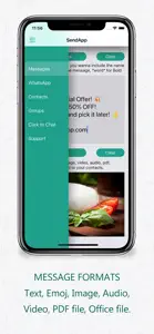 SendApp Business screenshot #2 for iPhone