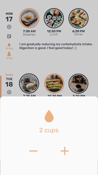 Otter - Diet Diary Screenshot