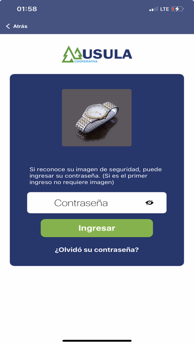 Usula Móvil Screenshot