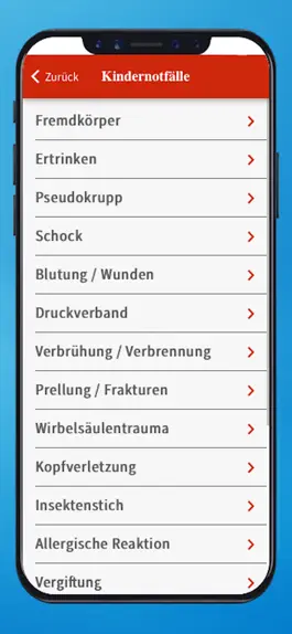 Game screenshot ErsteHilfeBerlin Bert Grünheid hack