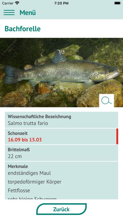 Fische OÖ - Schonbestimmungen Screenshot