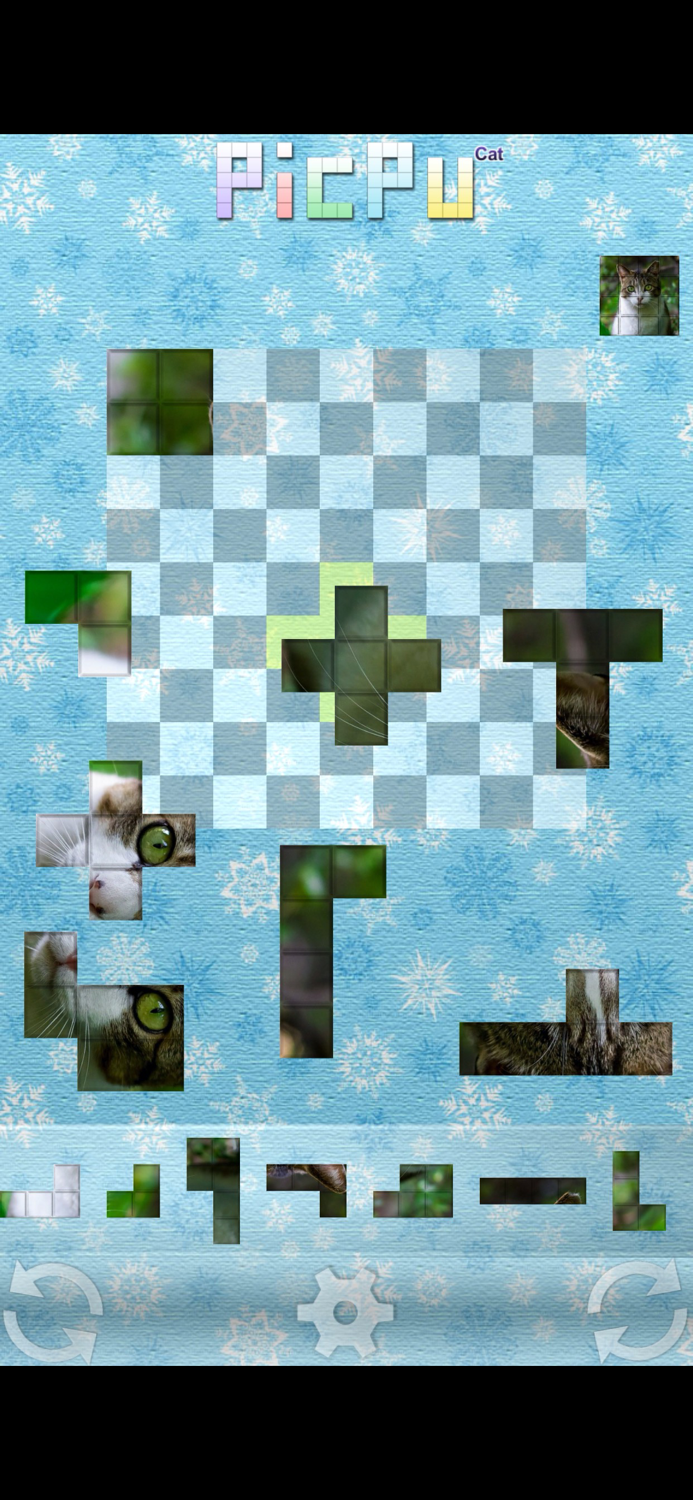 PicPu - Cat Picture Puzzle