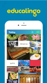 educalingo iphone screenshot 1