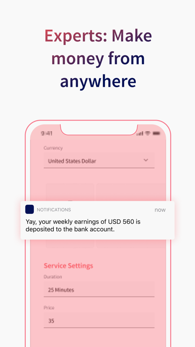 Expert Republic Screenshot