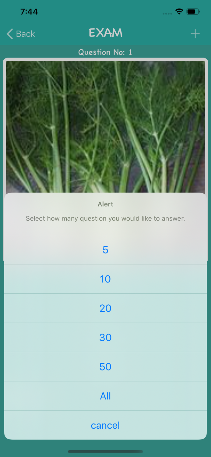 Pro Fruits And Veggies