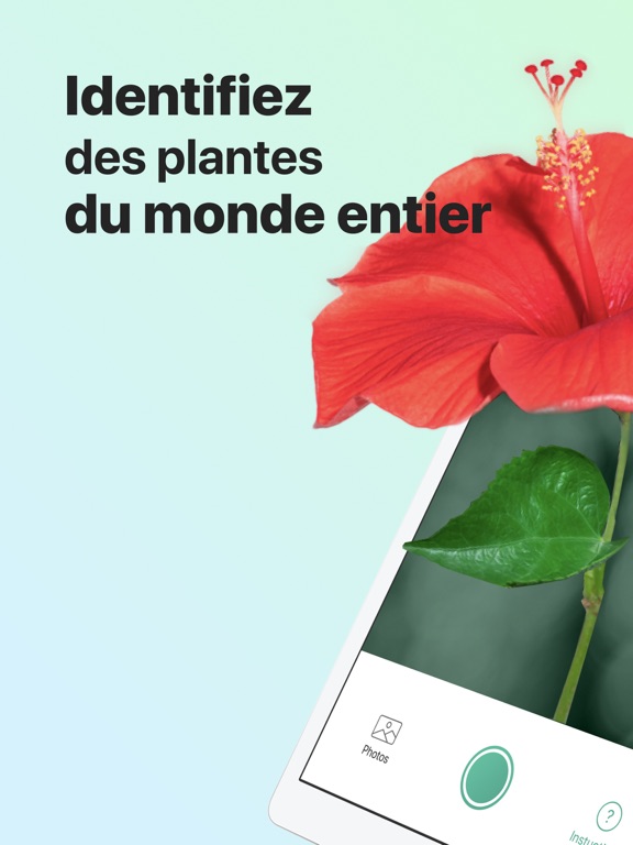 PictureThis-Identifier Plantes PictureThis-Identifier Plantes