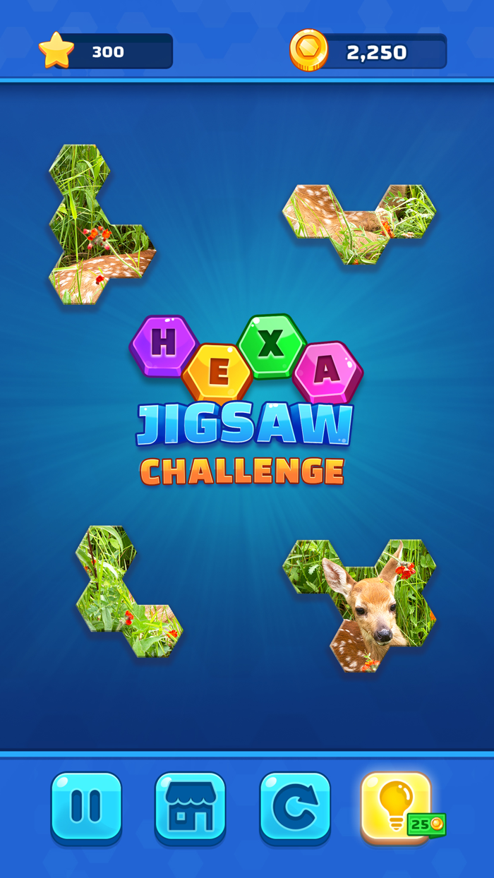 Hexa Jigsaw Challenge