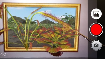 4D Museum Screenshot
