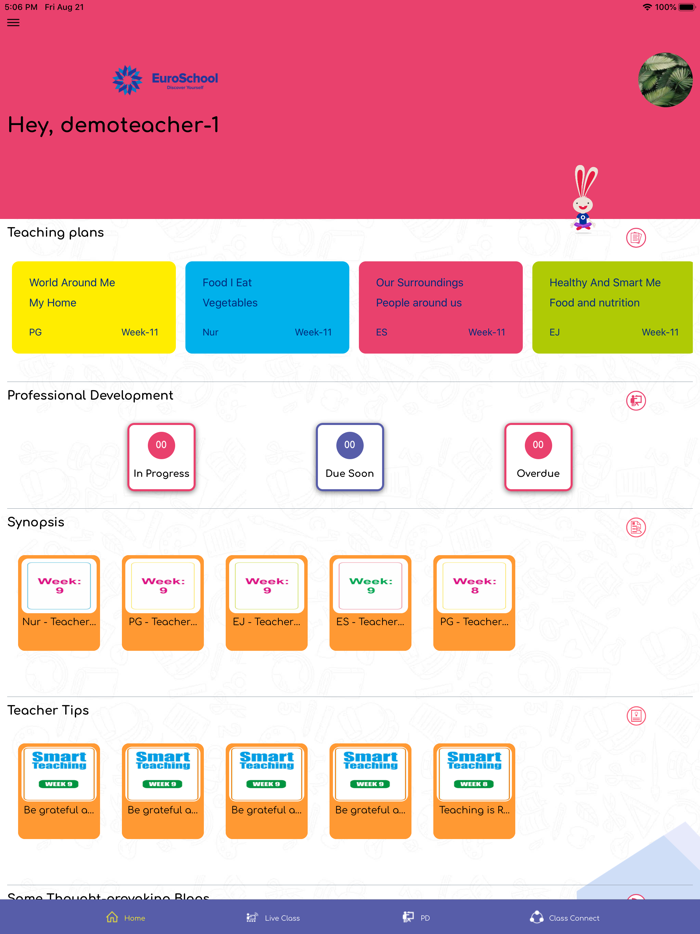 Argus Junior Teacher