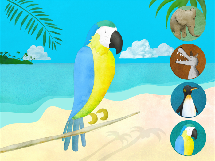 Animals and their environment