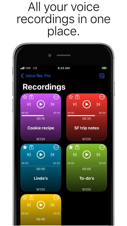 Voice Rec Pro