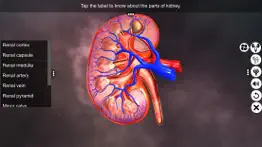 urinary system physiology iphone screenshot 4