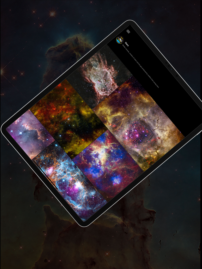 Chandra 20 Years and Beyond