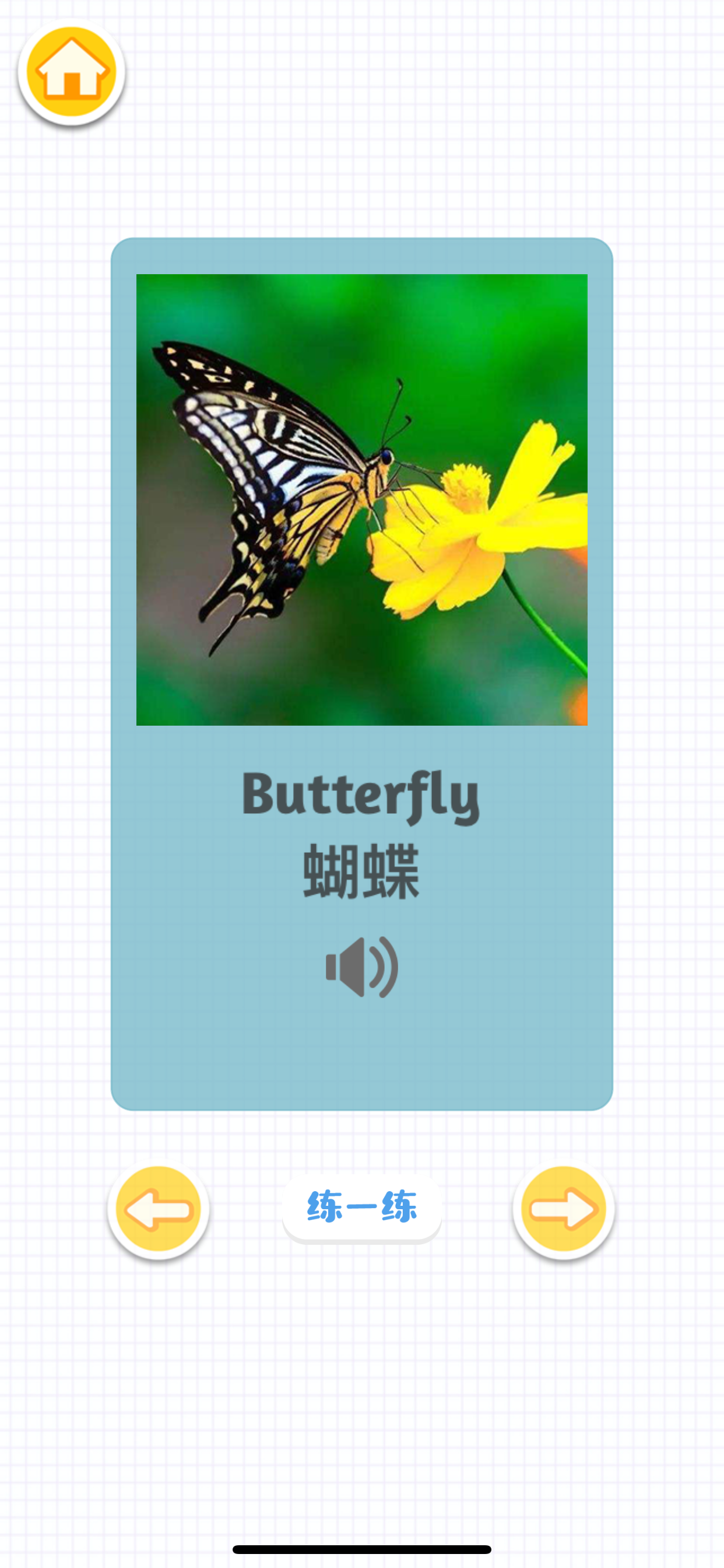 动物配对游戏-学习汉字英语