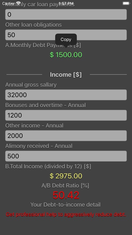 Debt 2 Income Calculator screenshot-4