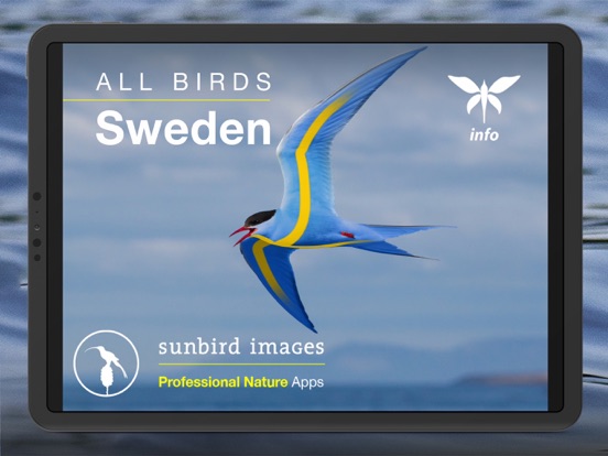 Screenshot #4 pour All Birds Sweden - Photo Guide