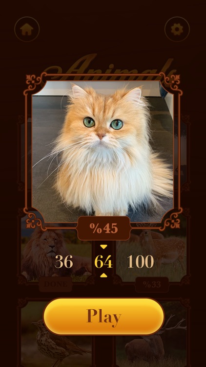 Jigsaw Master: Puzzle