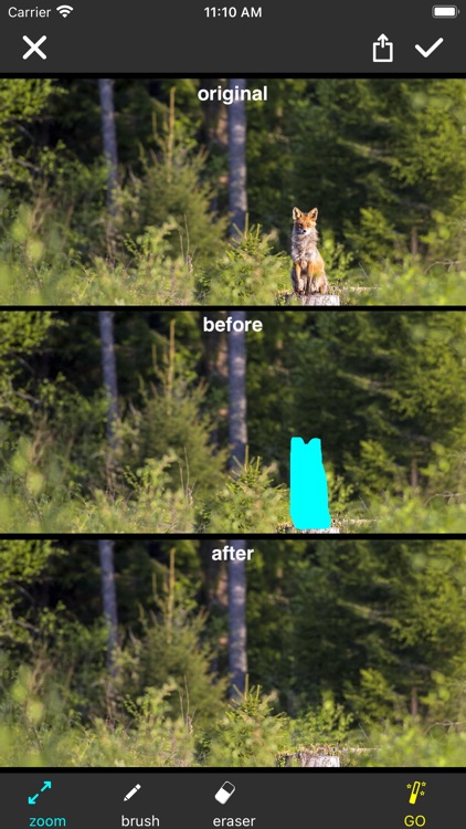 Photo AI Eraser-Object Removal