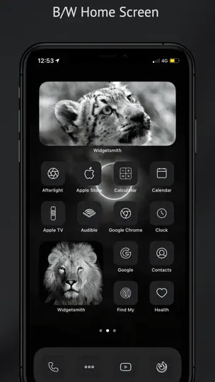 Captura de pantalla de Icono De Aplicación Estética en iPhone 1