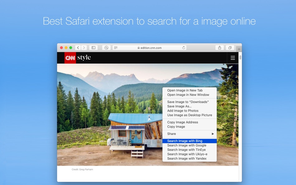 #2. Online Image Finder for Safari (macOS) Podle: Cristian Gav