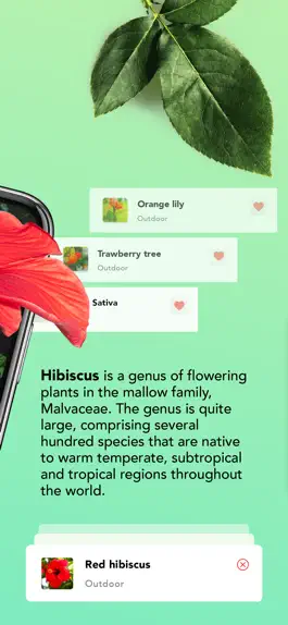 Game screenshot Plant identification - Plants apk