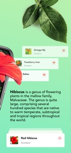 Plant identification - Plants screenshot #2 for iPhone