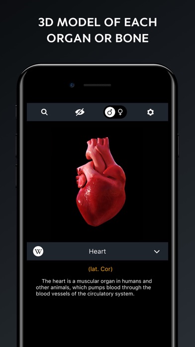 Human Body Atlas: 3D Medical Screenshot