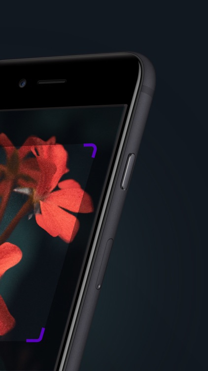 Plant Identifier: Snap scanner