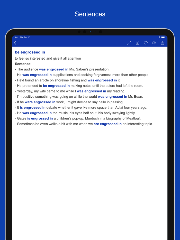 Common Phrases and Collocations