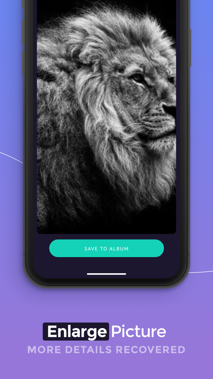 AI Image Enlarger Pro - 800