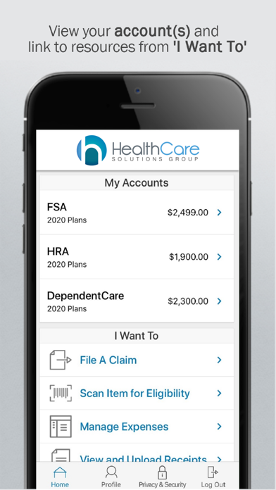 HSG Flex Screenshot