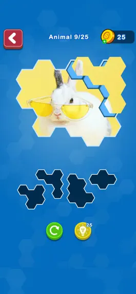 Game screenshot Hexa Puzzle Jigsaws mod apk