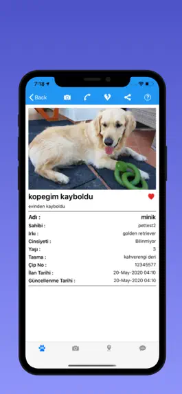 Game screenshot PetSearch apk