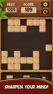 block puzzle blast* iphone screenshot 4
