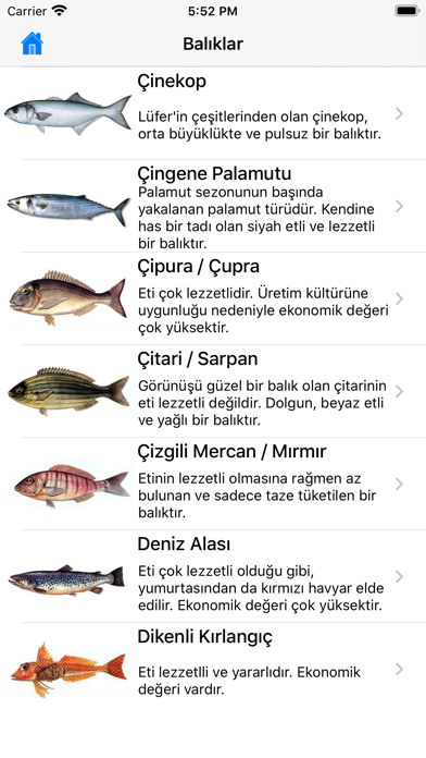 Balık Dünyası Screenshot