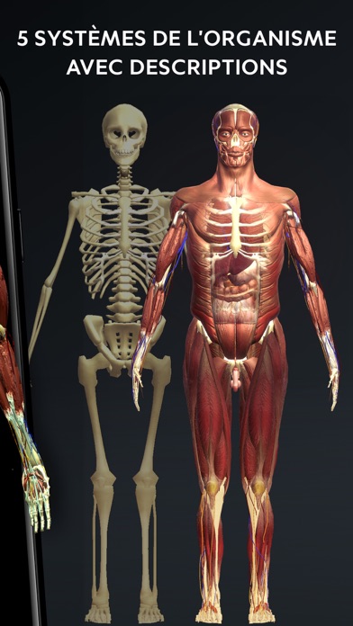 Screenshot #2 pour Corps Humain: Atlas Anatomie