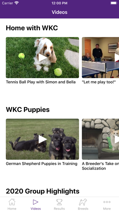 Westminster Dog Show Screenshot