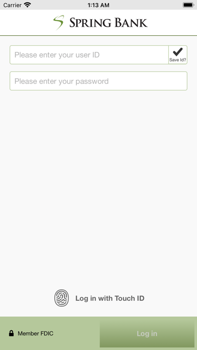 Spring Bank Business Screenshot
