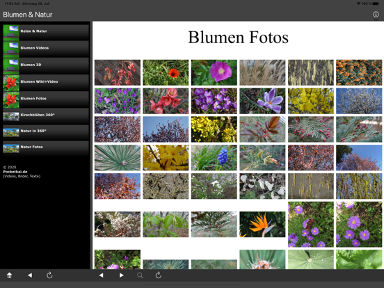 Screenshot #5 pour Blumen & Natur