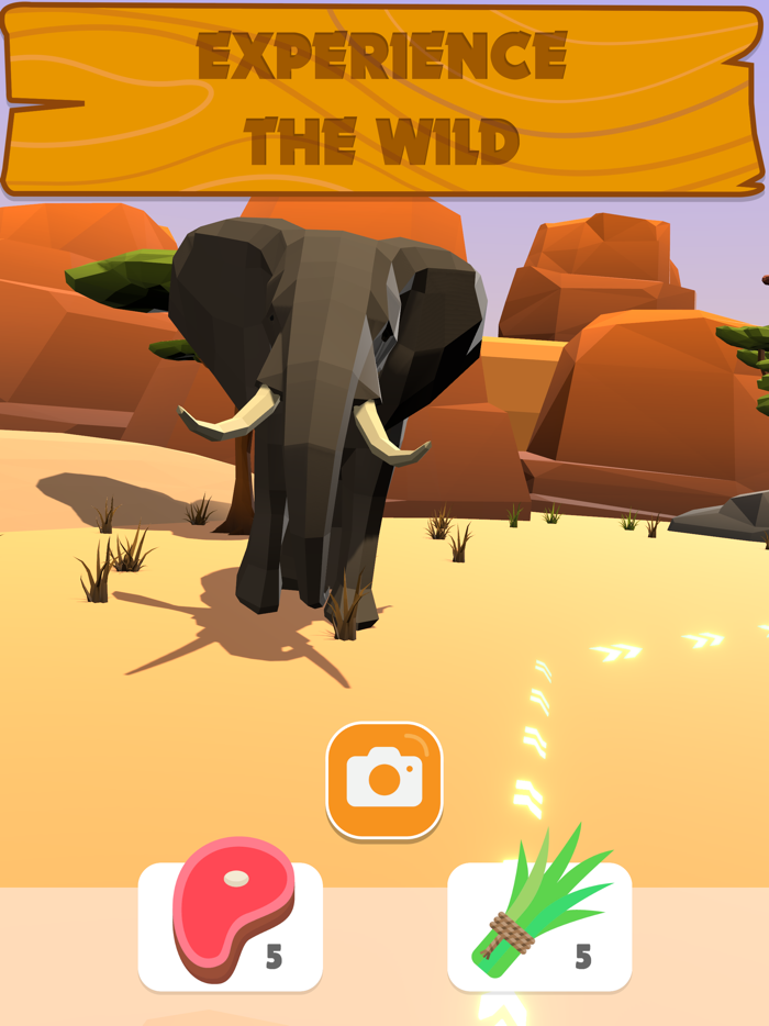 Safari Mania